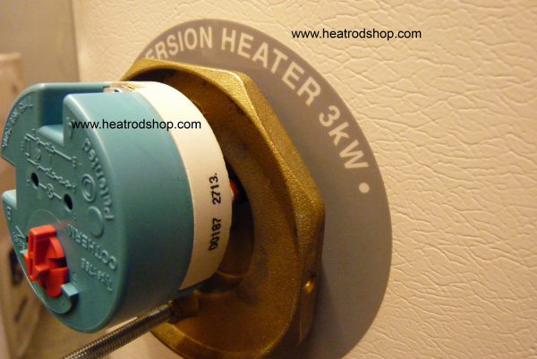 immersion thermostat in